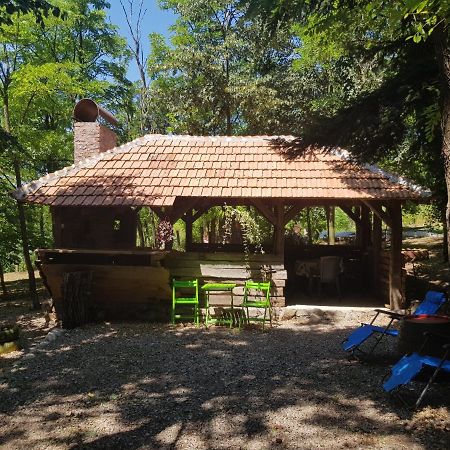 Konaciste Mali Izvor Villa Boljevac Buitenkant foto