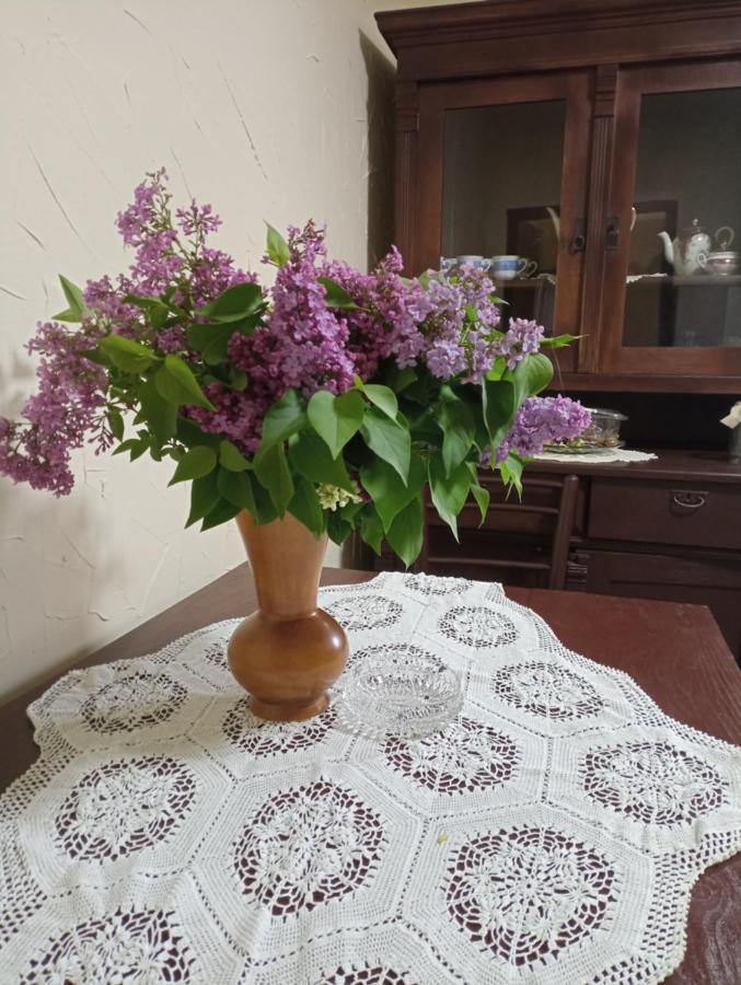 Konaciste Mali Izvor Villa Boljevac Buitenkant foto