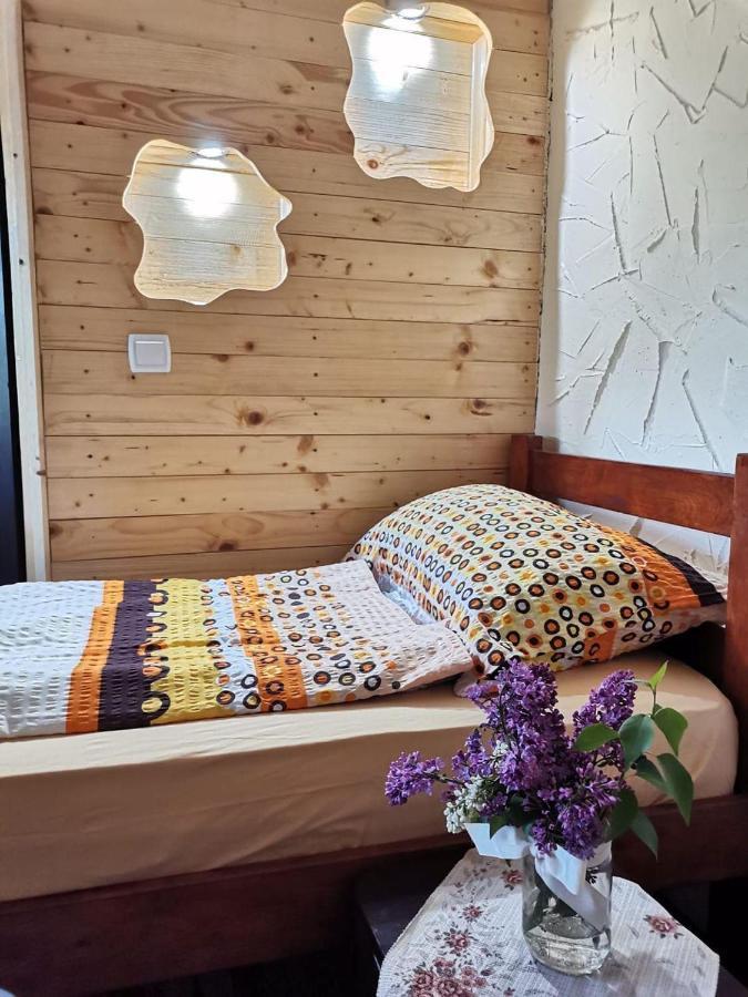 Konaciste Mali Izvor Villa Boljevac Buitenkant foto