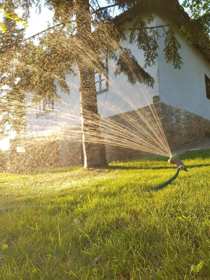 Konaciste Mali Izvor Villa Boljevac Buitenkant foto