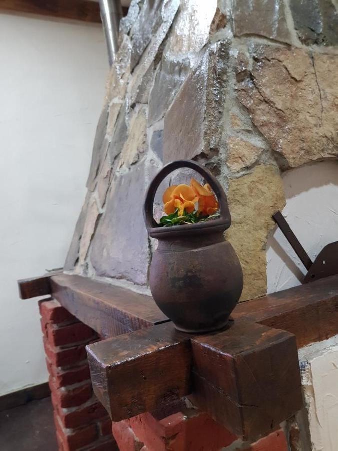 Konaciste Mali Izvor Villa Boljevac Buitenkant foto