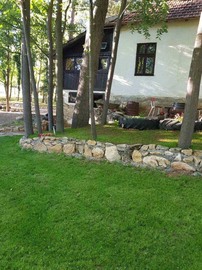 Konaciste Mali Izvor Villa Boljevac Buitenkant foto