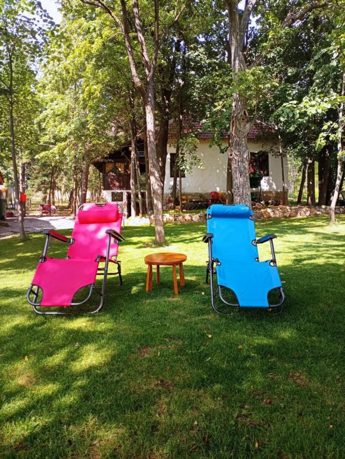Konaciste Mali Izvor Villa Boljevac Buitenkant foto