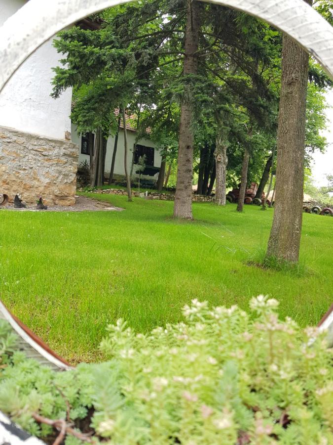 Konaciste Mali Izvor Villa Boljevac Buitenkant foto