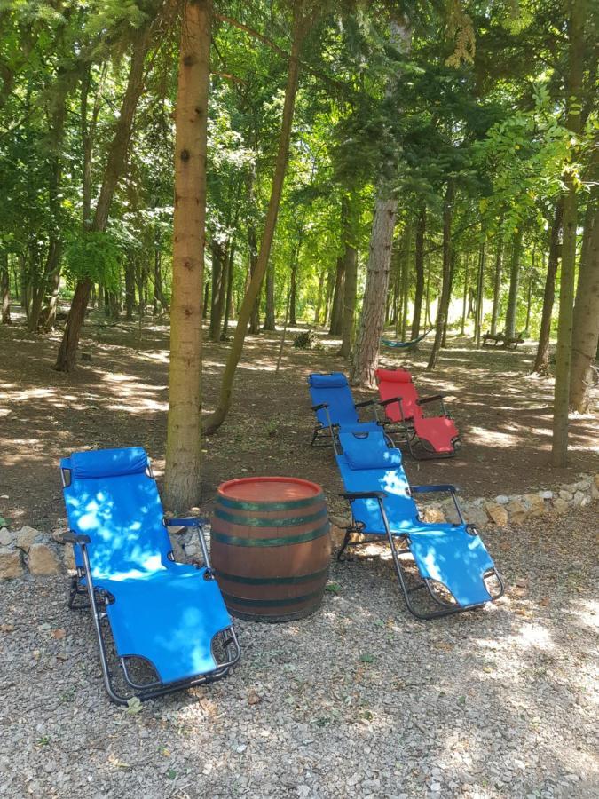 Konaciste Mali Izvor Villa Boljevac Buitenkant foto